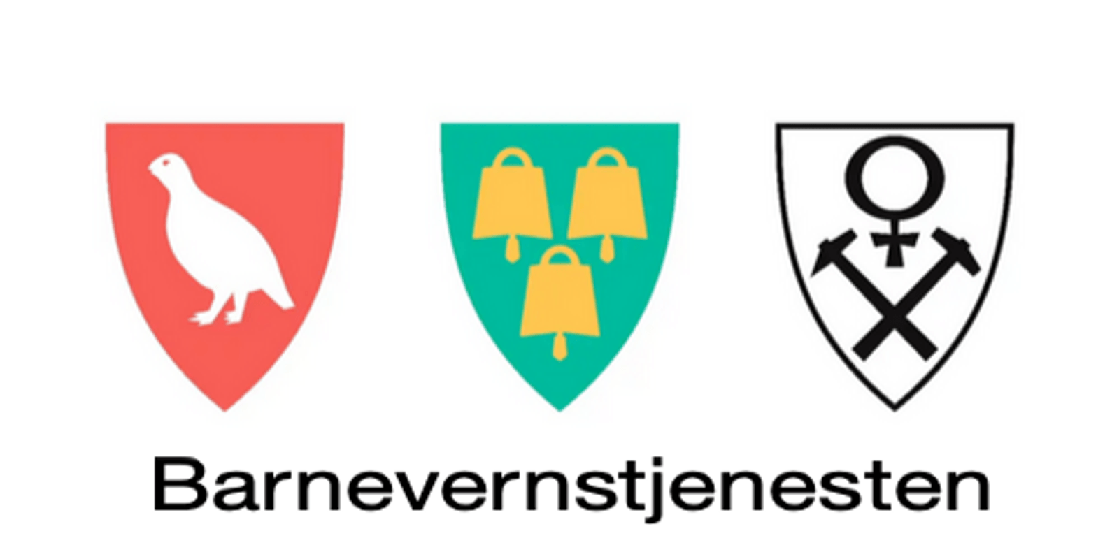 Barnevernstjenesten